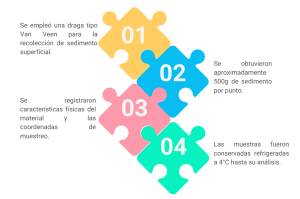 Grafico2.png